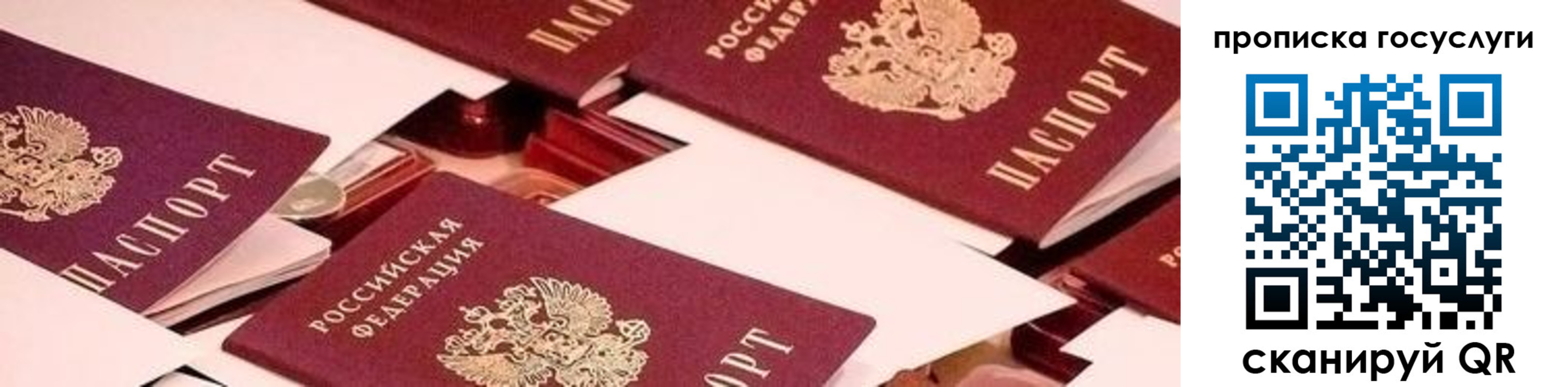 регистрация в Новгородской области